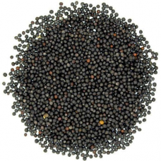 Mustard Seed Black (100g)