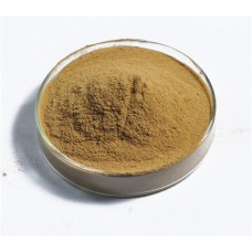 Ale USA 5 Yeast 15g (BrewersDIY)