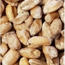 Wheat Pale (per Kg)