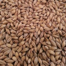 Maris Otter Pale Ale Malt (per Kg)